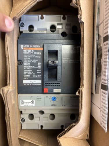 Merlin Gerin NFNF36250 Circuit Breaker w/250a Trip TM250DP NSF250 N